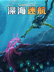 最便宜连衣裙批发
